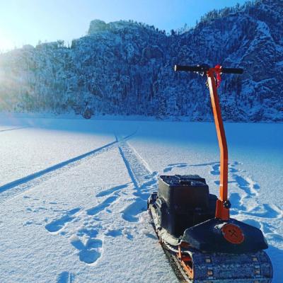 Прокат мотосноубордов в Москве