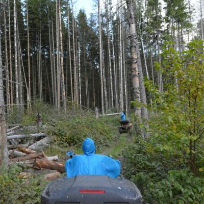 Прокат квадроциклов в Москве